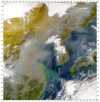 Satellite photo: Korea and the Sea of Japan are obscured by swirls of pollution
