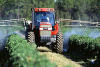 A tractor spraying crops with fertilizer or pesticide