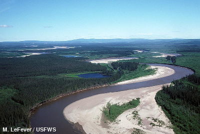 Aerial view of the Black River Yukon Flats