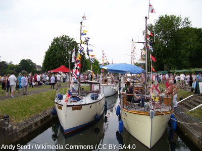Teddington River Festival photo by Andy Scott