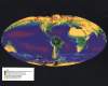 Global Vegetation map