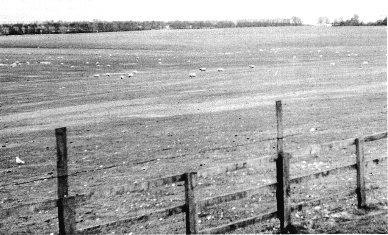 Grass wear and erosion at Stonehenge